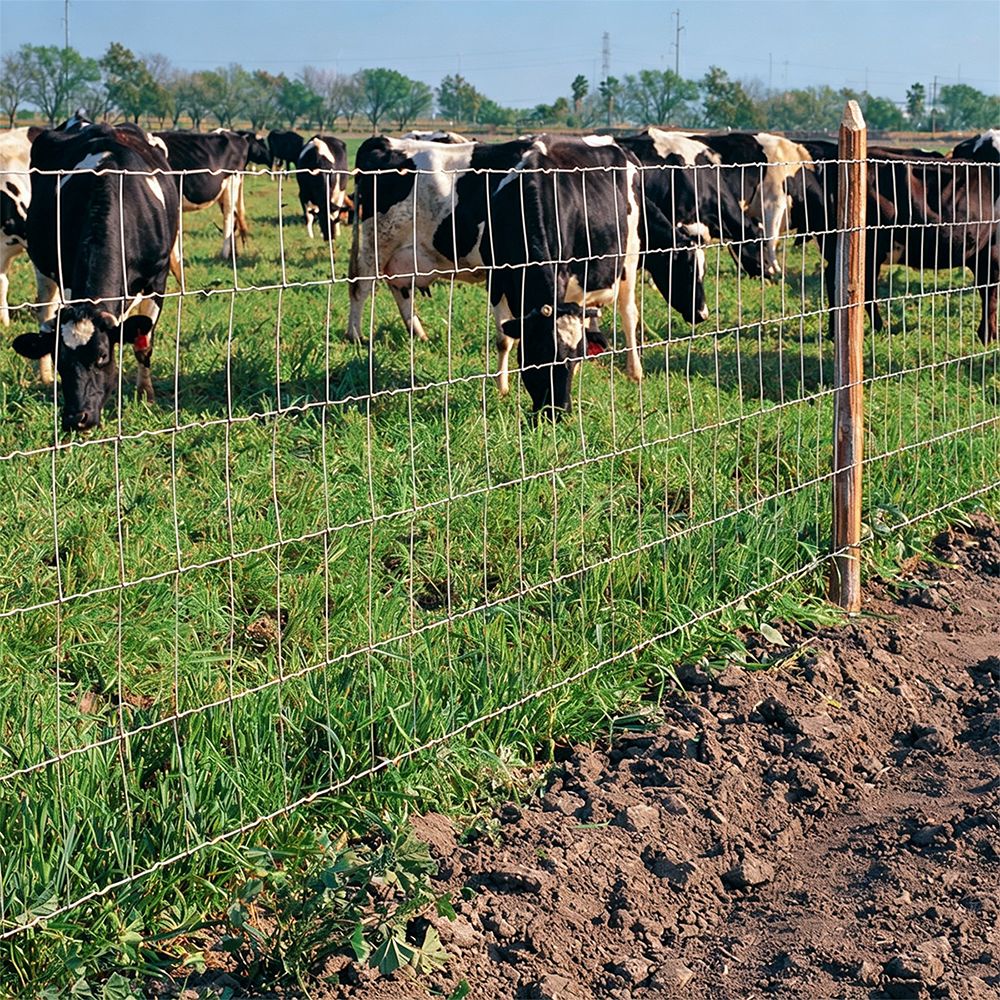Farm and ranch fencing systems for cattle and livestock