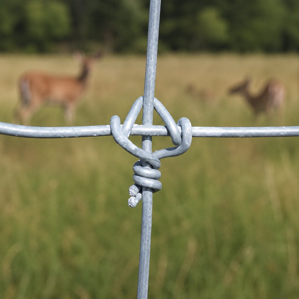 Deer fence wire knot detail for farm and boundary fencing