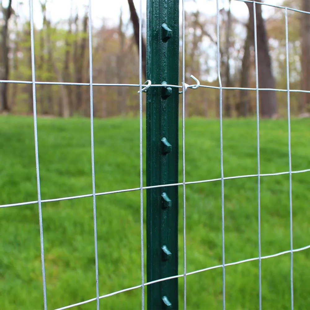 Galvanized welded wire fence roll