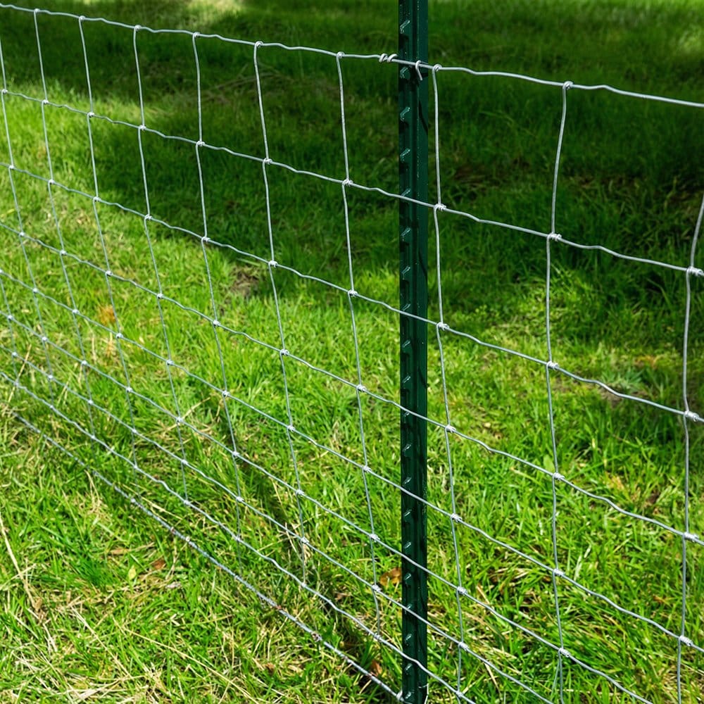 Green painted studded T post for farm and ranch fence