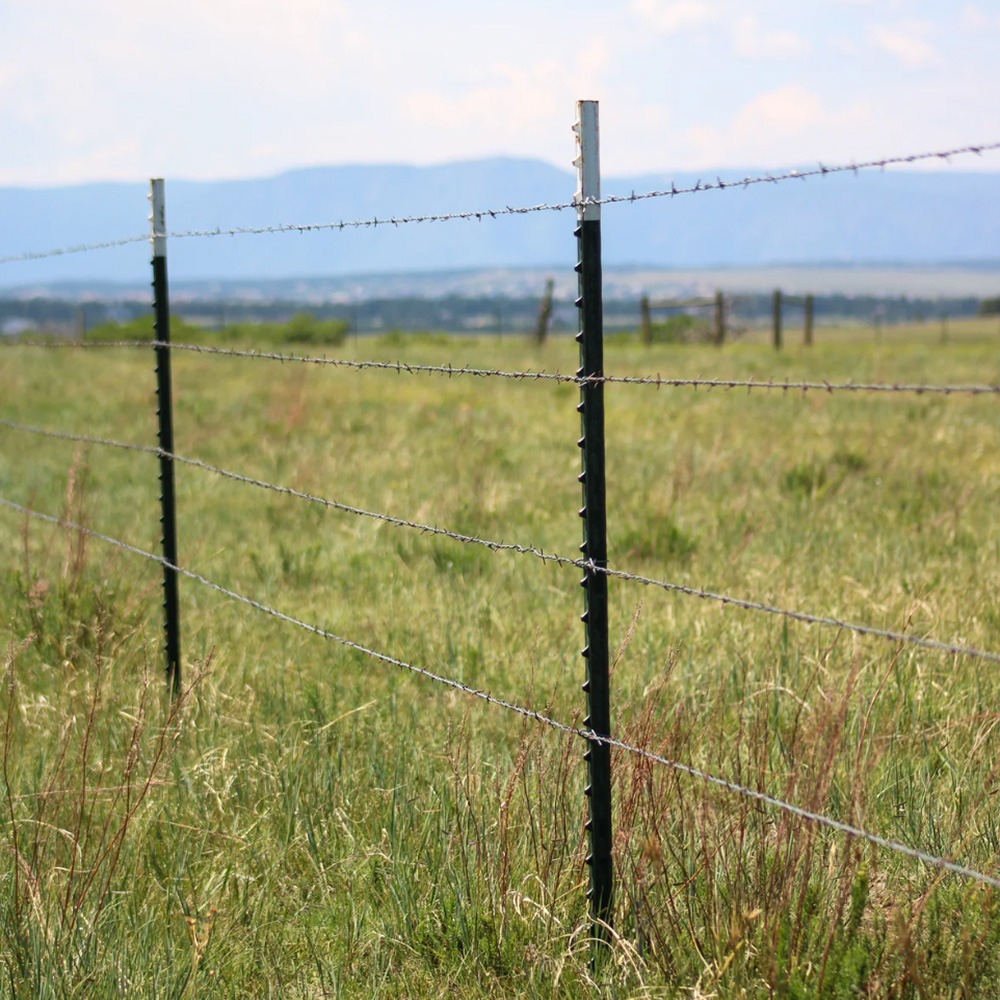 6 ft green studded steel T fence post with anchor plate on a wire farm fence