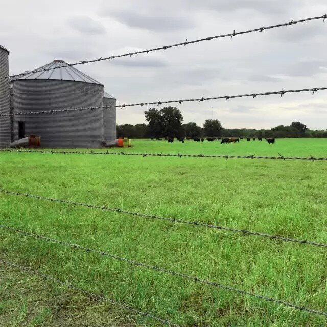 Galvanized barbed wire installed around a cattle farm and pasture boundary