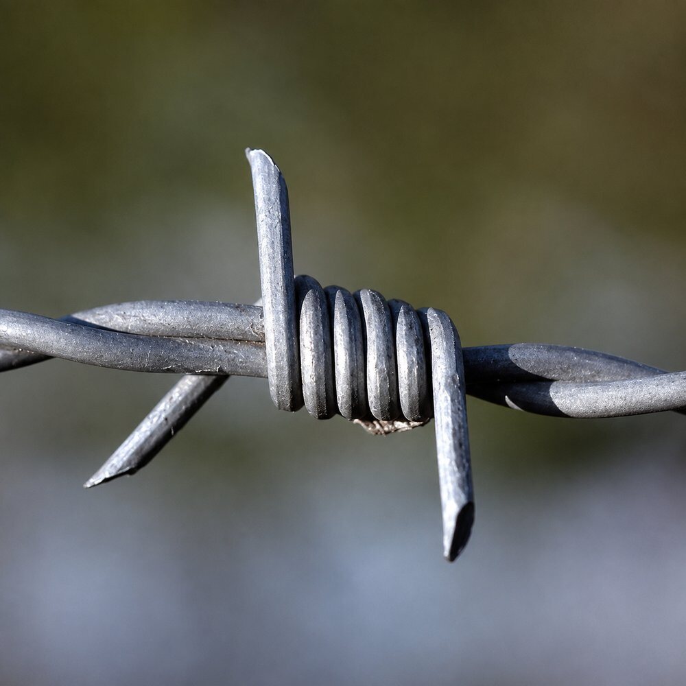 Close-up of 12.5 gauge galvanized 4-point barbed wire and two-strand twist