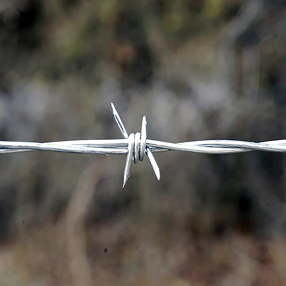 Close-up detail of galvanized 4-point barbed wire with two-strand twisted construction