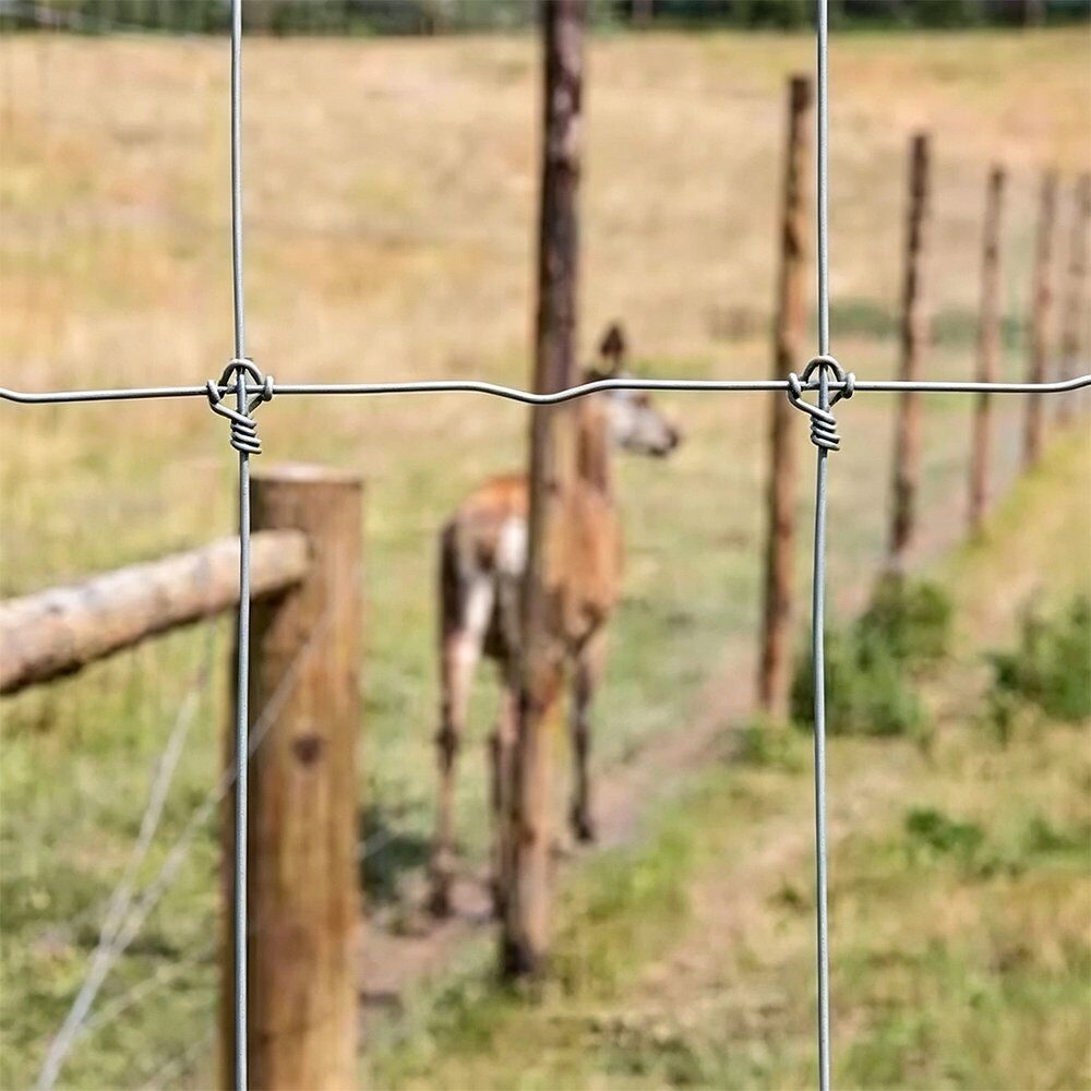 Fixed knot pasture fence installed for livestock containment