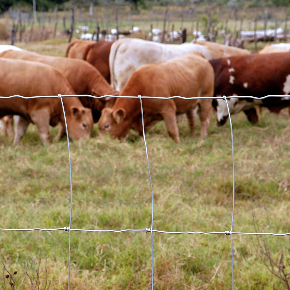 Woven wire farm fence installed around cattle pasture