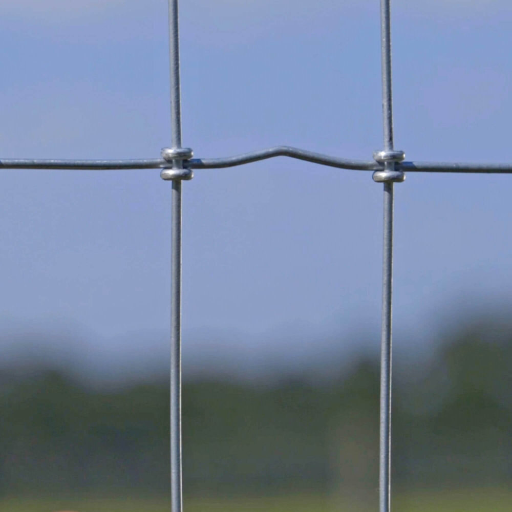 Close-up of galvanized S knot joint on non-climb horse fence wire
