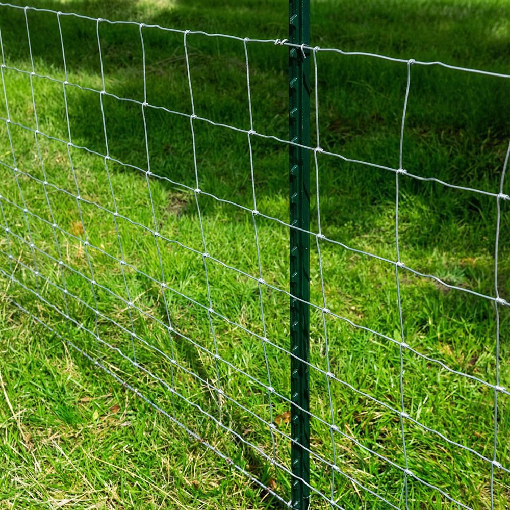 Green steel T post holding woven wire fence, showing correct line post spacing